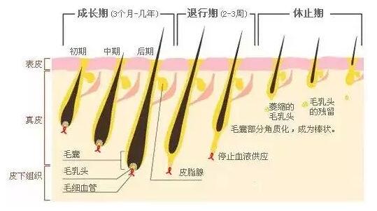 天津美莱做激光脱毛的价格高吗