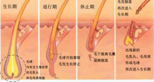 脱腿毛