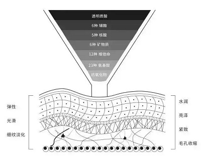 <a href='/fz/' target='_blank'><u>福州美莱</u></a>国际微整节