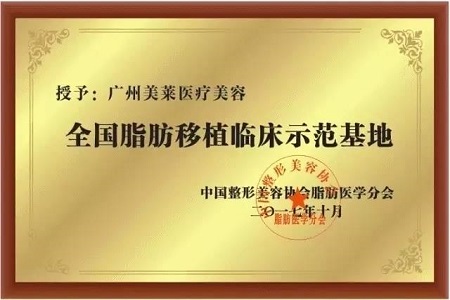 脂肪填充