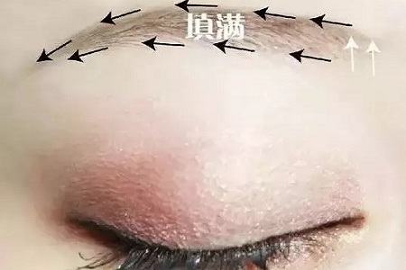 纹眉