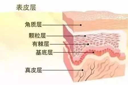 韩式半持久