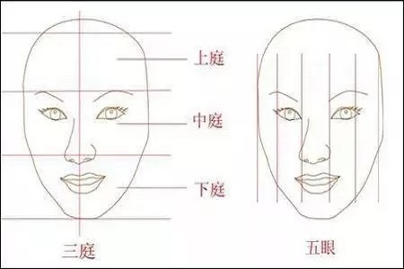 影响翘鼻较重要的地方。