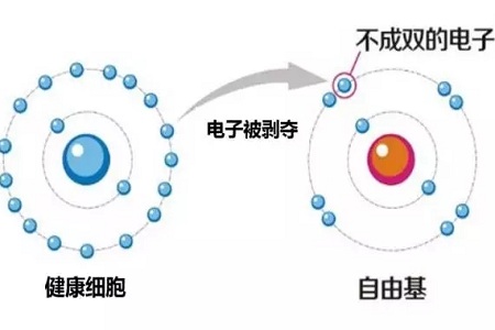 法国丝丽-抗衰神器