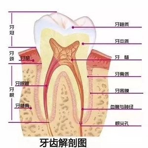 问诊室：为什么我的牙却永远也刷不白？