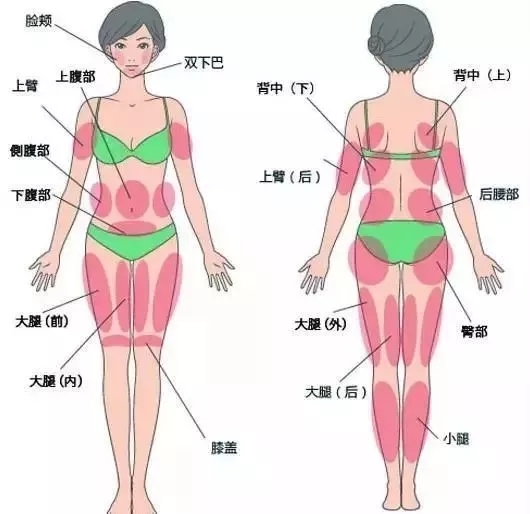 让明星“一夜回春”的自体脂肪到底适不适合你？