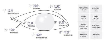 美眼张诚坐诊美莱，浅谈为什么你的眼睛不够美？