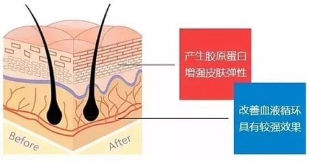 关于*雕，你想了解的都在这里！