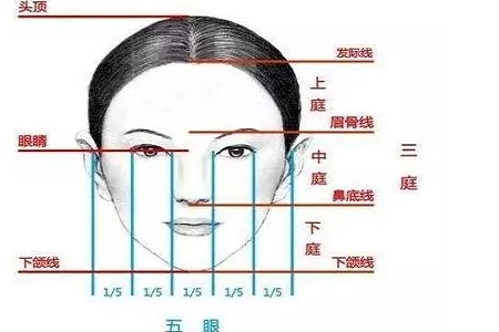 假体隆鼻的“高度”主要决定于哪些因素？