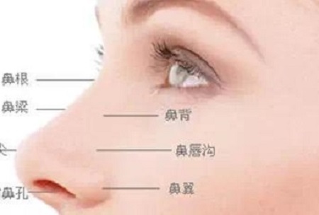 玻尿酸注射鼻子